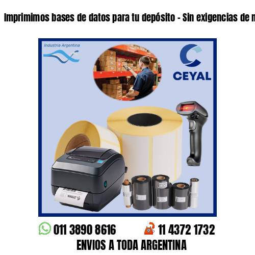 Imprimimos bases de datos para tu depósito – Sin exigencias de mínimos!