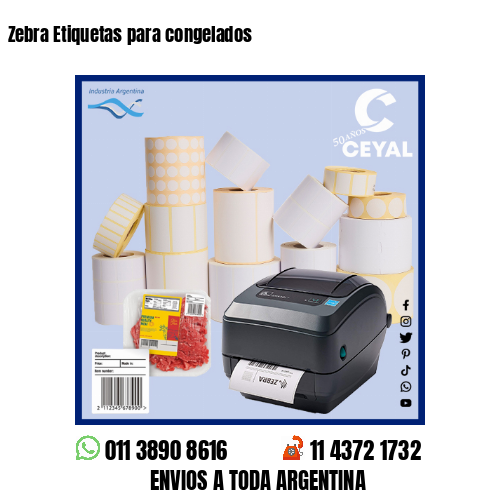 Zebra Etiquetas para congelados
