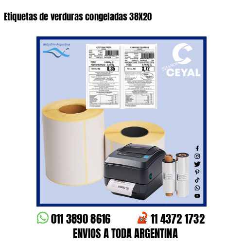 Etiquetas de verduras congeladas 38X20