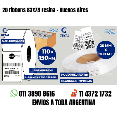 20 ribbons 83x74 resina - Buenos Aires
