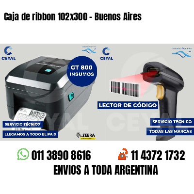 Caja de ribbon 102x300 - Buenos Aires