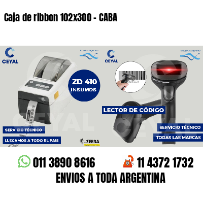 Caja de ribbon 102x300 - CABA