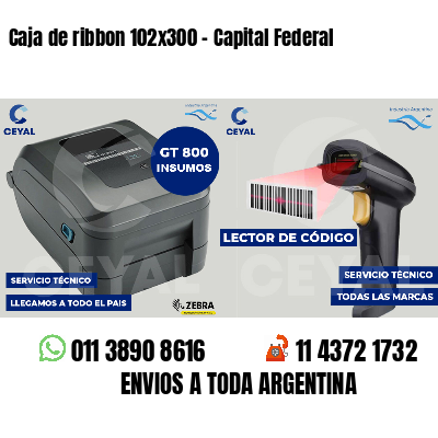 Caja de ribbon 102x300 - Capital Federal