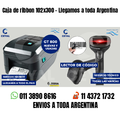 Caja de ribbon 102x300 - Llegamos a toda Argentina
