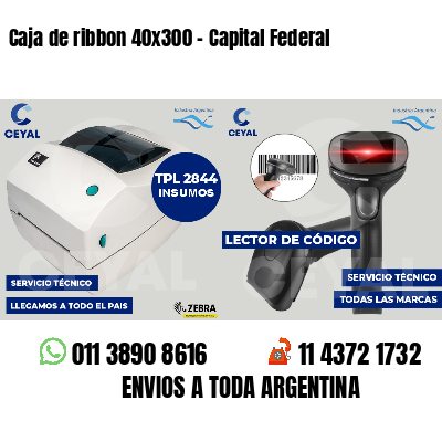 Caja de ribbon 40x300 - Capital Federal