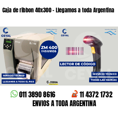 Caja de ribbon 40x300 - Llegamos a toda Argentina
