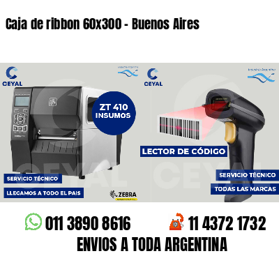 Caja de ribbon 60x300 - Buenos Aires