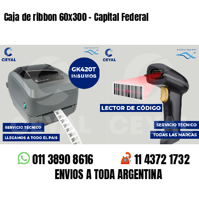 Caja de ribbon 60x300 - Capital Federal