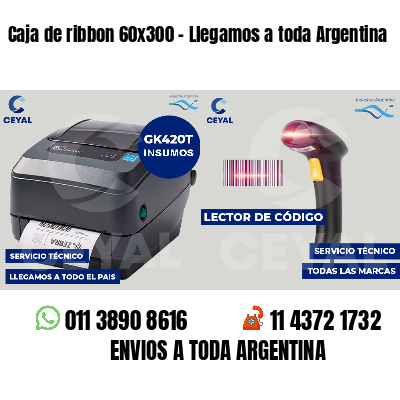 Caja de ribbon 60x300 - Llegamos a toda Argentina