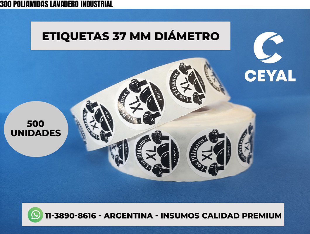 300 POLIAMIDAS LAVADERO INDUSTRIAL