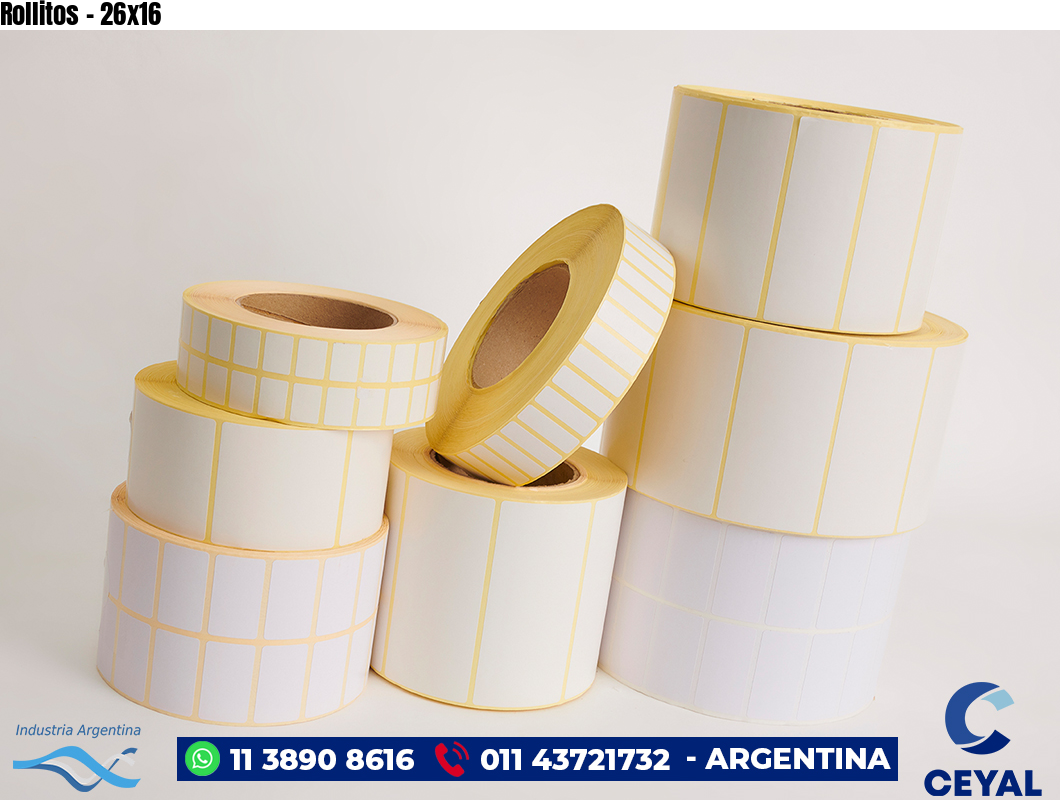 Rollitos - 26x16