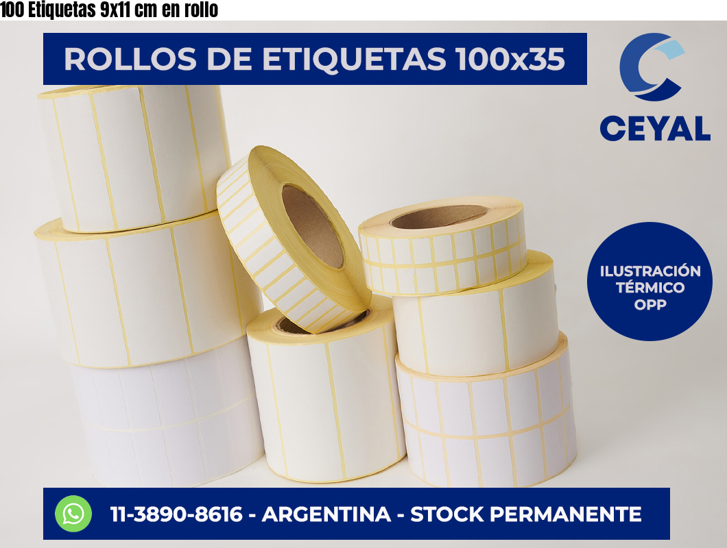 100 Etiquetas 9×11 cm en rollo