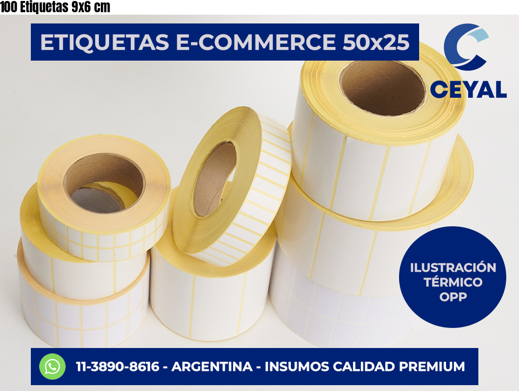 100 Etiquetas 9×6 cm