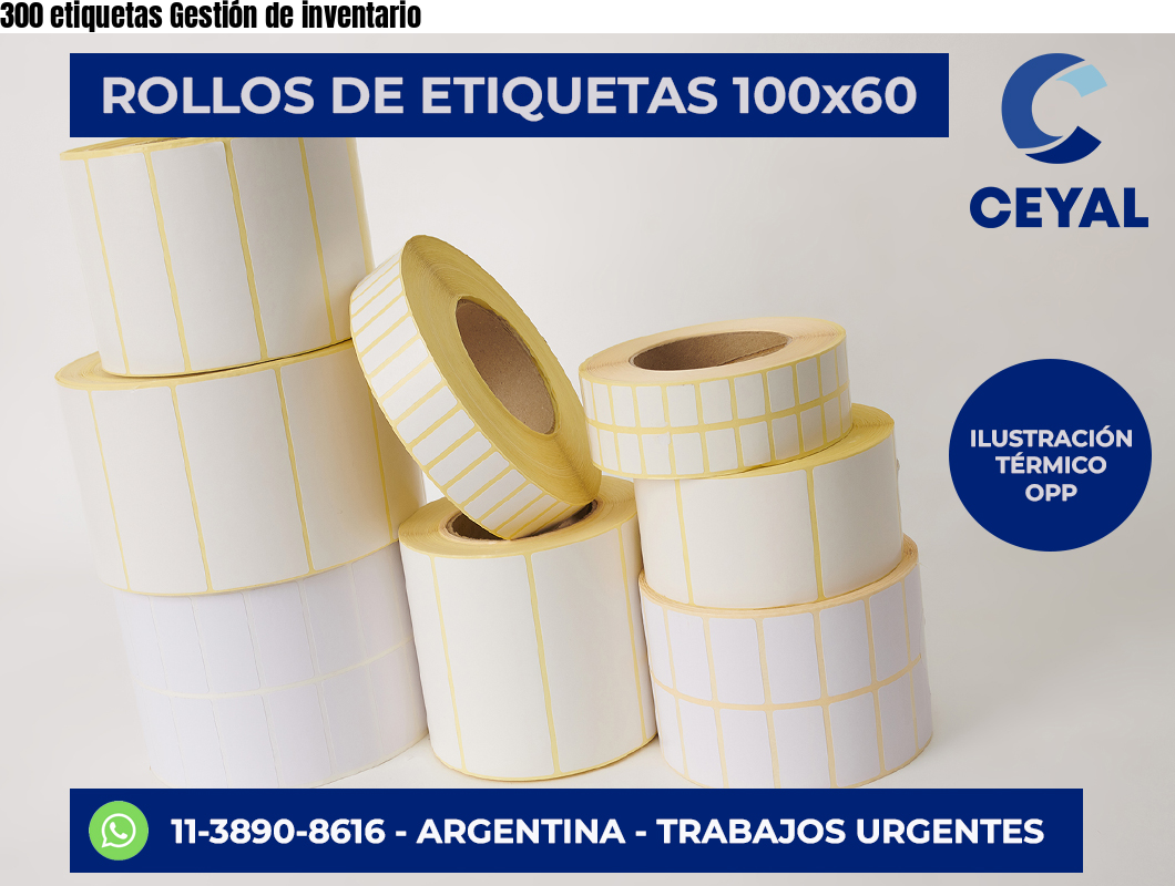 300 etiquetas Gestión de inventario