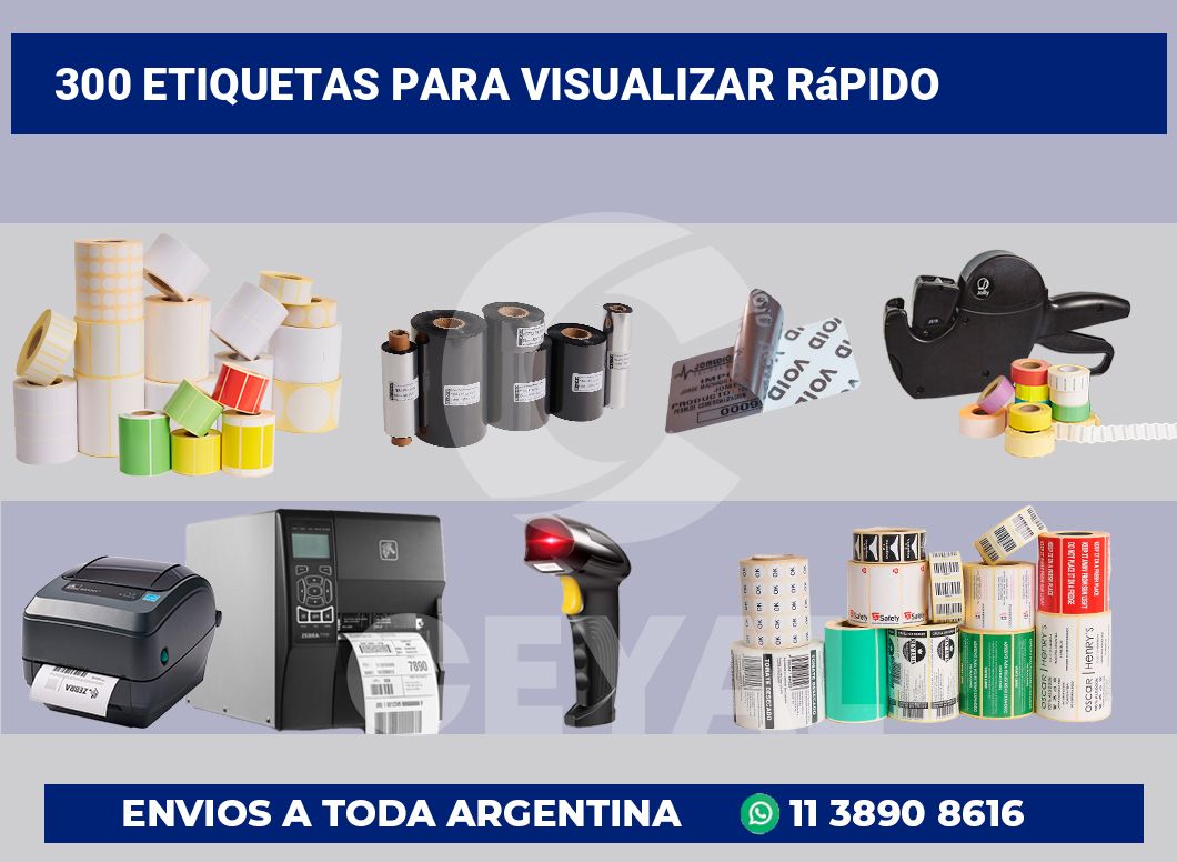 300 Etiquetas para visualizar rápido