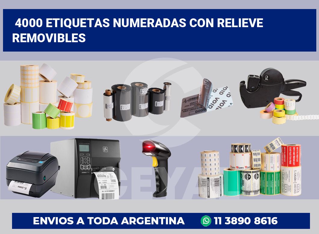 4000 Etiquetas numeradas con relieve removibles