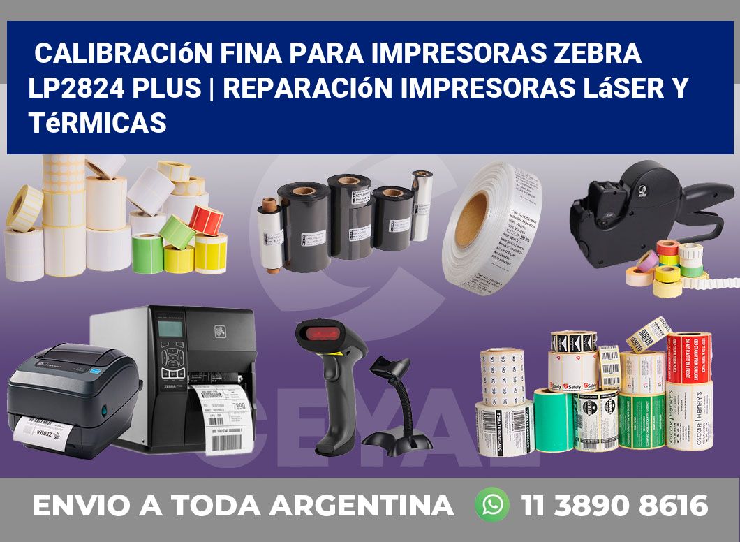 Calibración fina para impresoras Zebra LP2824 Plus | Reparación impresoras láser y térmicas