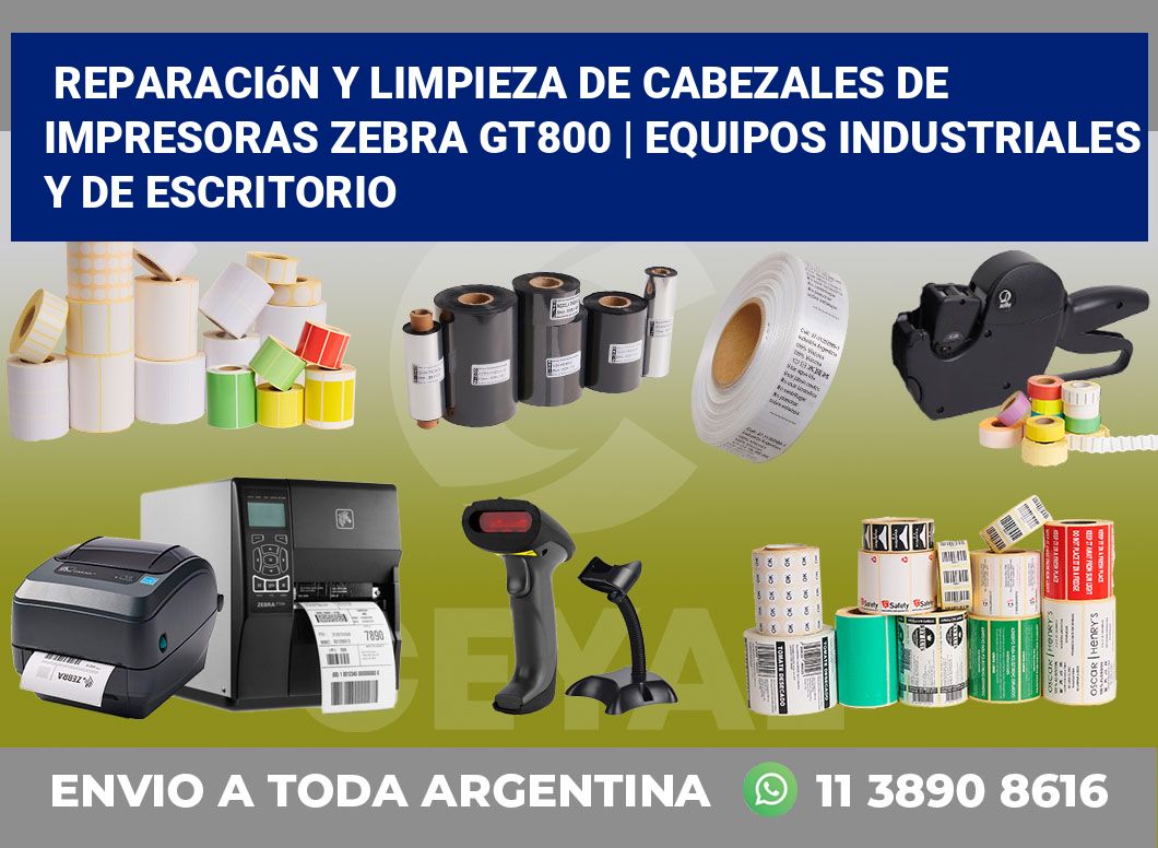 Reparación y limpieza de cabezales de impresoras Zebra GT800 | Equipos industriales y de escritorio