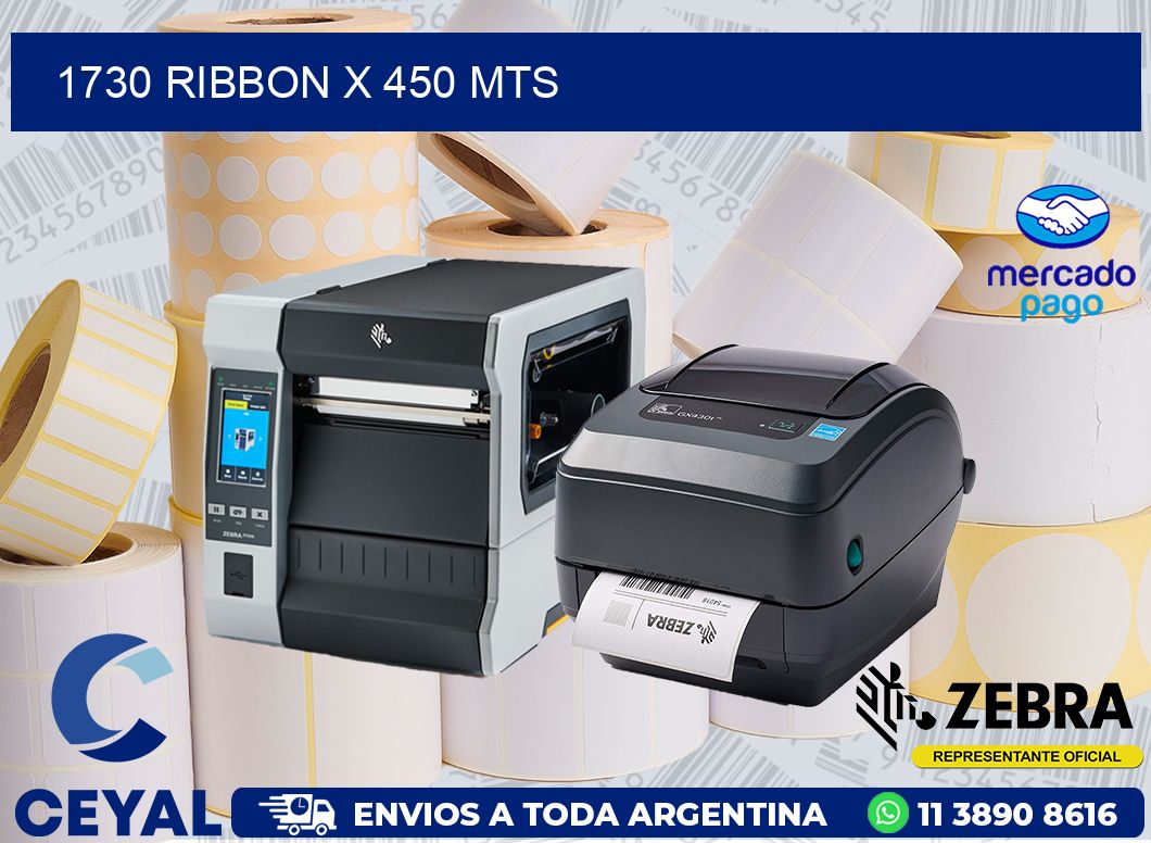 1730 RIBBON X 450 MTS