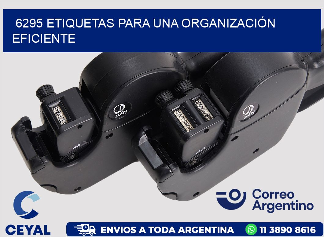 6295 ETIQUETAS PARA UNA ORGANIZACIÓN EFICIENTE