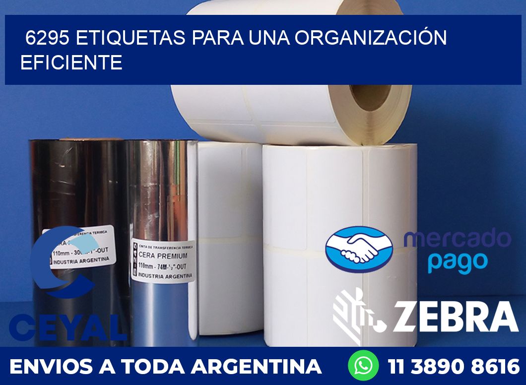 6295 ETIQUETAS PARA UNA ORGANIZACIÓN EFICIENTE