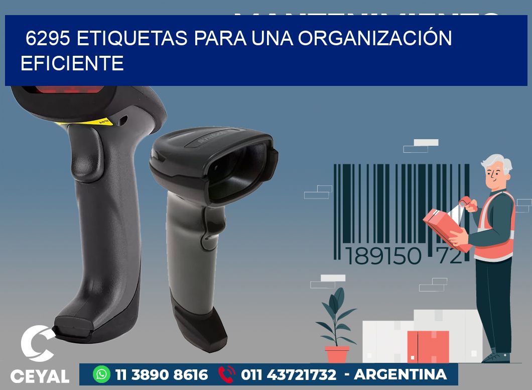 6295 ETIQUETAS PARA UNA ORGANIZACIÓN EFICIENTE