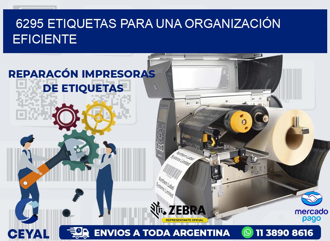 6295 ETIQUETAS PARA UNA ORGANIZACIÓN EFICIENTE