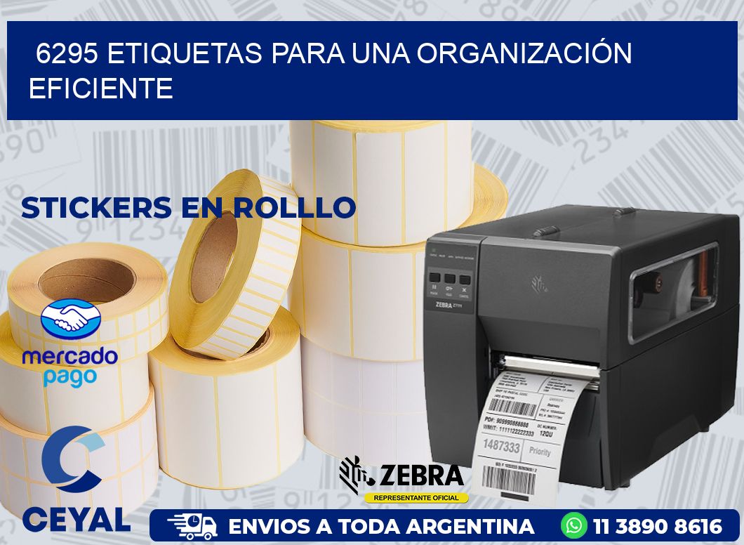6295 ETIQUETAS PARA UNA ORGANIZACIÓN EFICIENTE