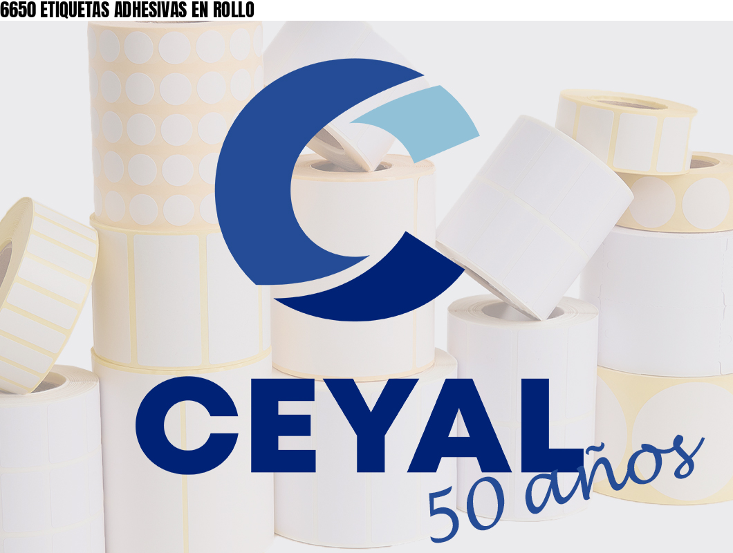 6650 ETIQUETAS ADHESIVAS EN ROLLO