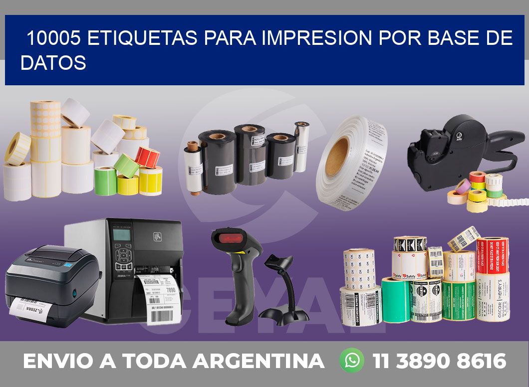 10005 ETIQUETAS PARA IMPRESION POR BASE DE DATOS