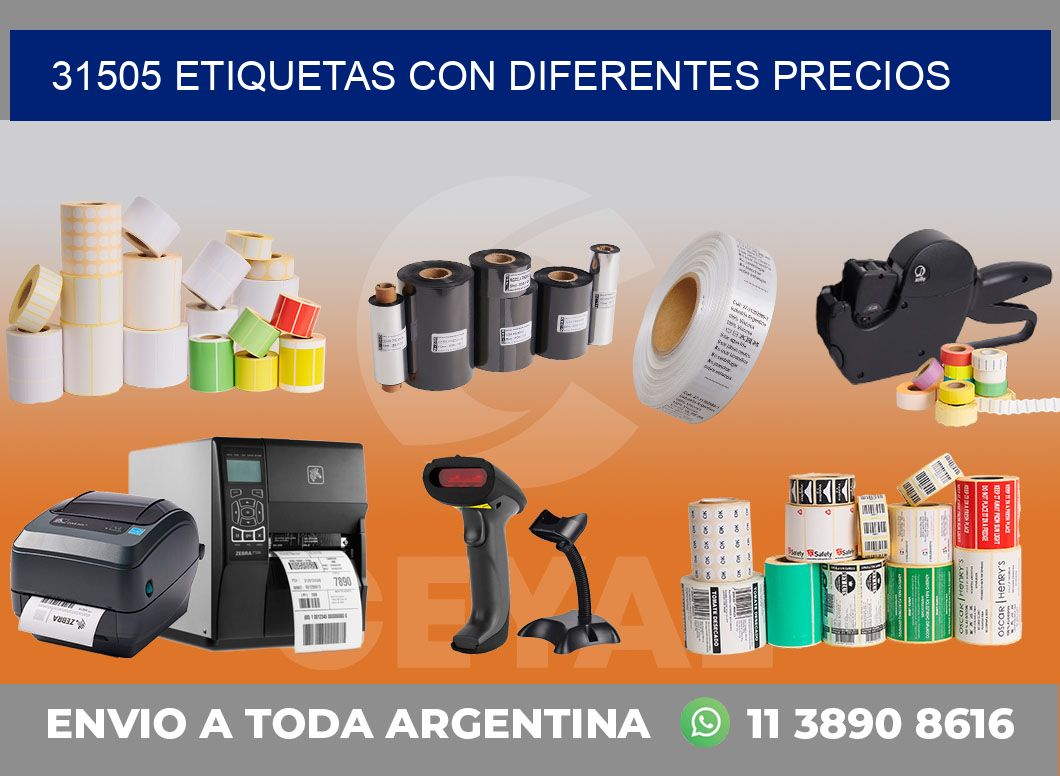 31505 ETIQUETAS CON DIFERENTES PRECIOS