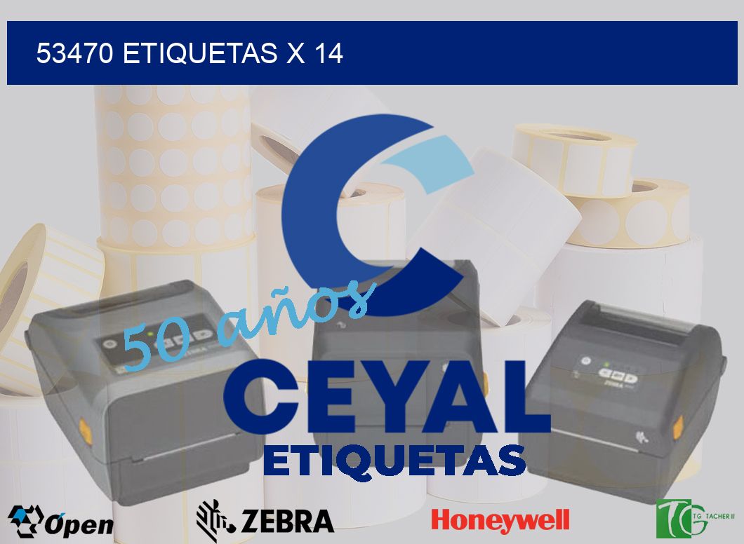 53470 Etiquetas x 14