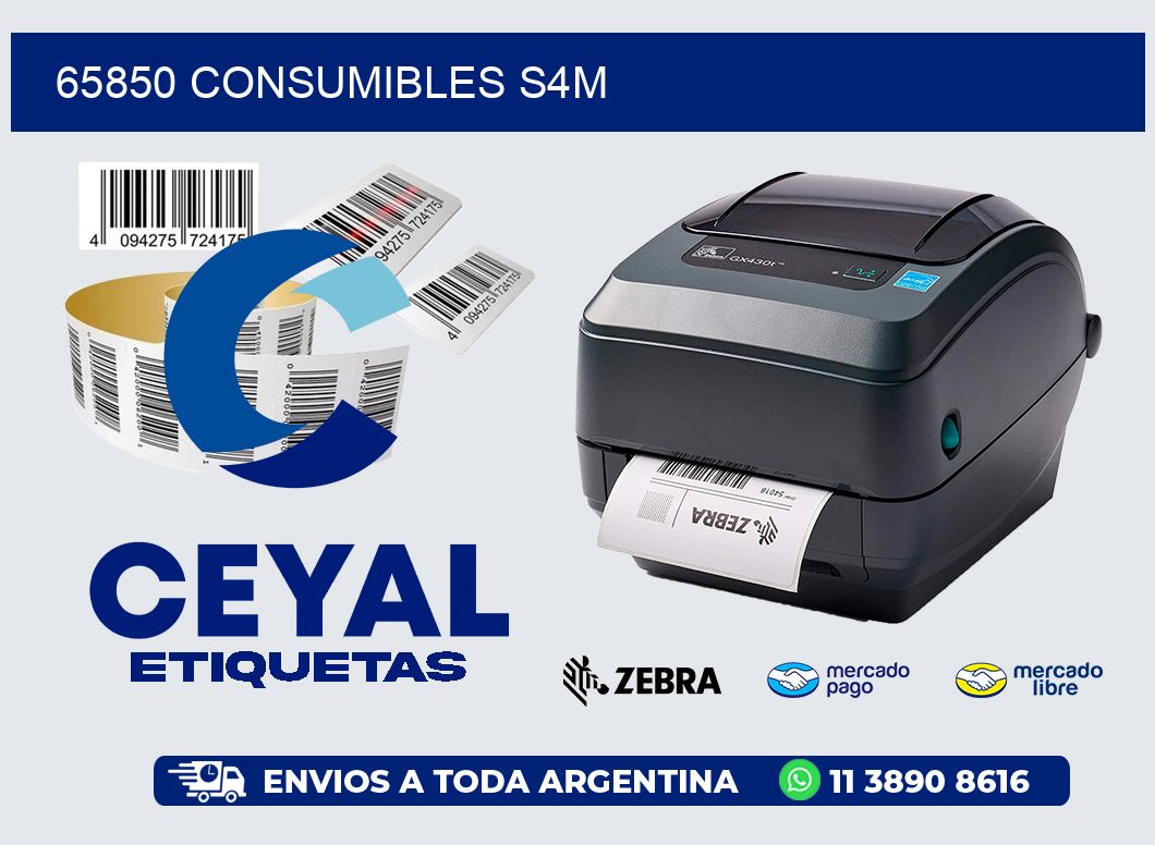 65850 CONSUMIBLES S4M