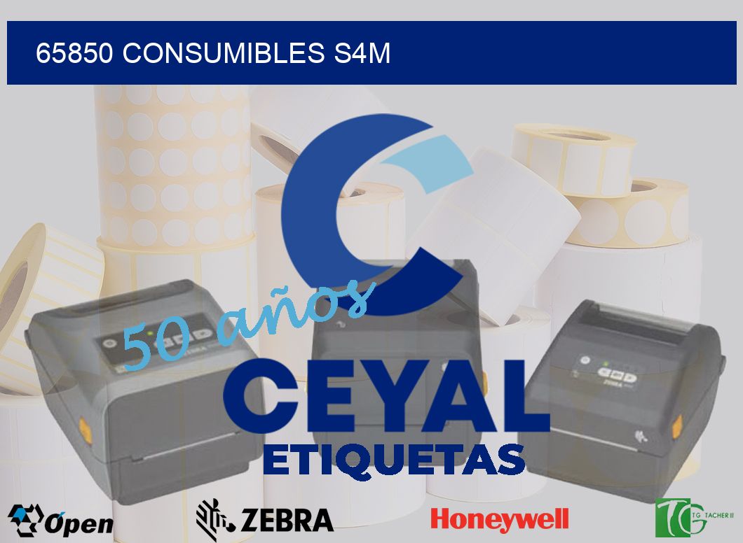 65850 CONSUMIBLES S4M