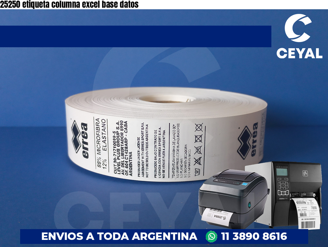 25250 etiqueta columna excel base datos