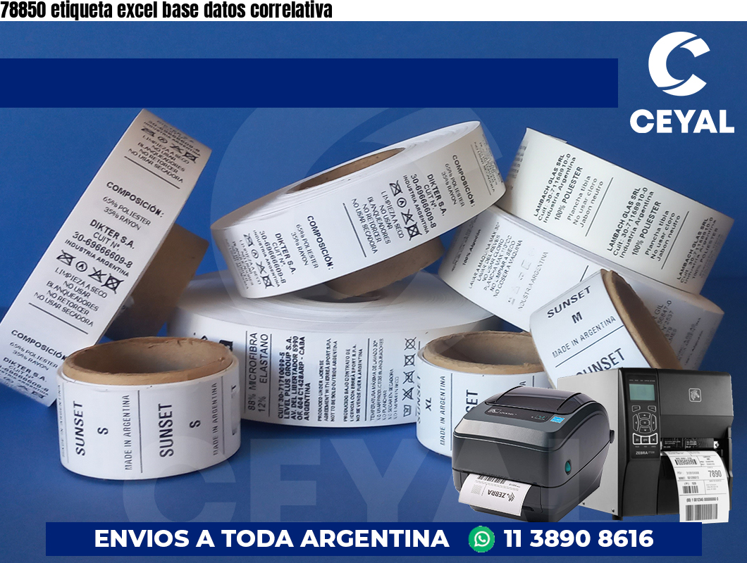 78850 etiqueta excel base datos correlativa