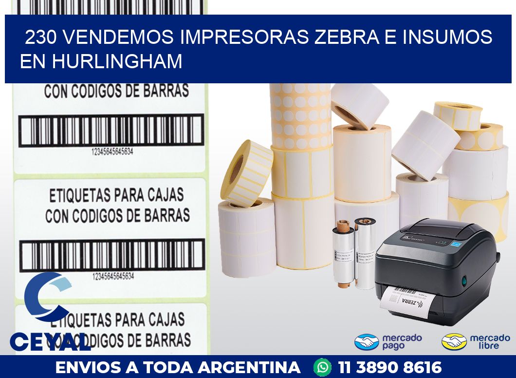 230 VENDEMOS IMPRESORAS ZEBRA E INSUMOS EN HURLINGHAM
