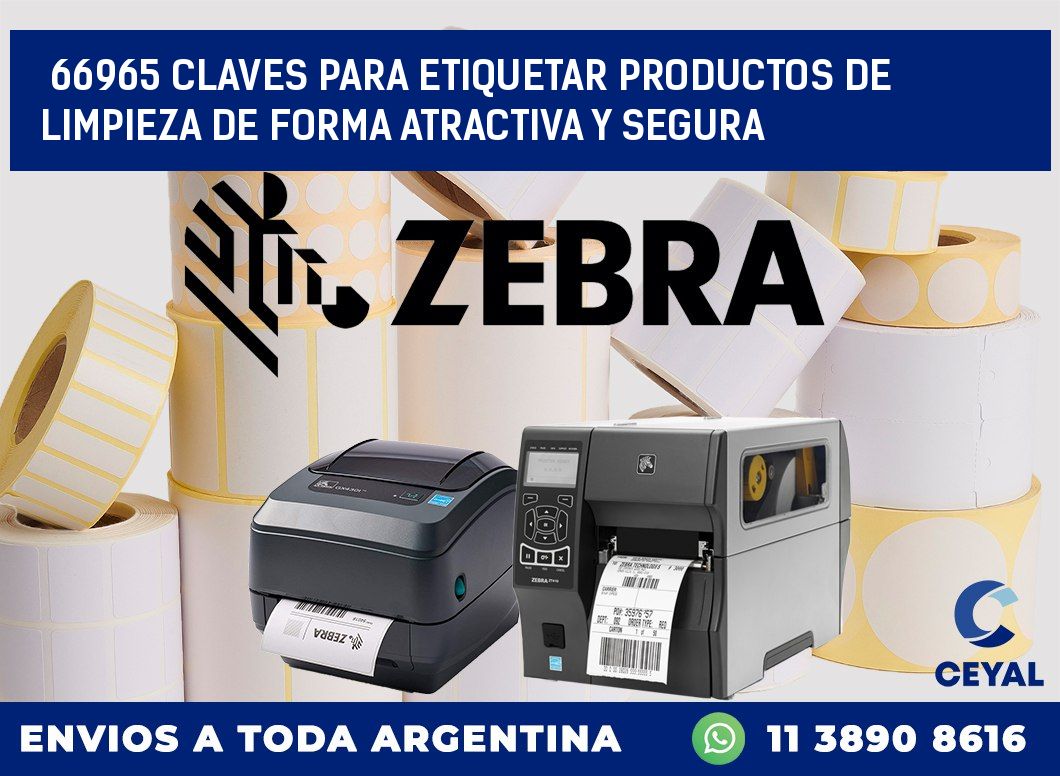 66965 CLAVES PARA ETIQUETAR PRODUCTOS DE LIMPIEZA DE FORMA ATRACTIVA Y SEGURA