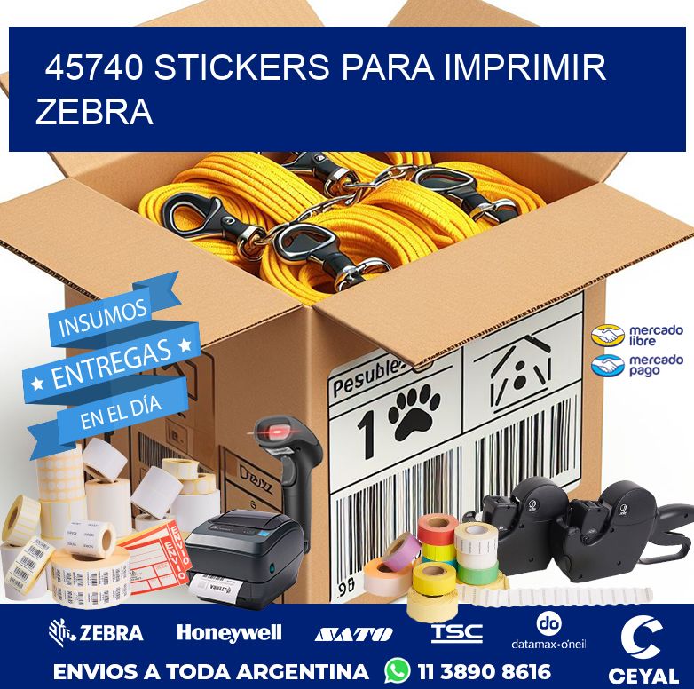 45740 STICKERS PARA IMPRIMIR ZEBRA
