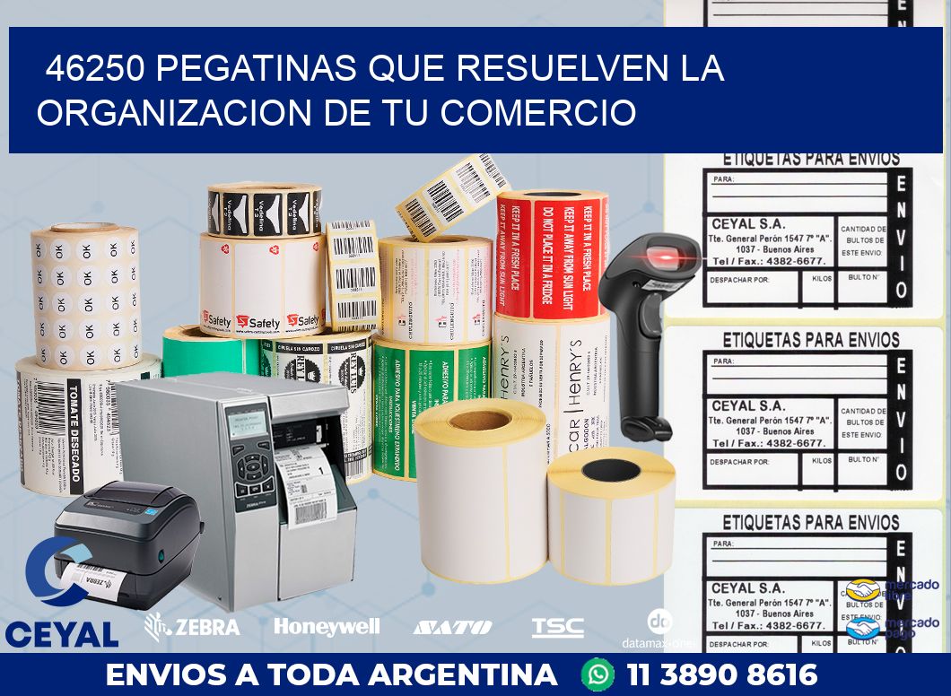 46250 PEGATINAS QUE RESUELVEN LA ORGANIZACION DE TU COMERCIO