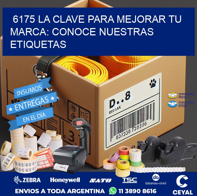 6175 LA CLAVE PARA MEJORAR TU MARCA: CONOCE NUESTRAS ETIQUETAS