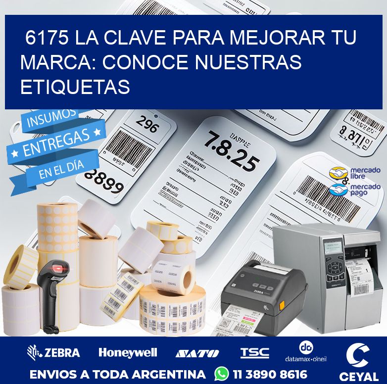 6175 LA CLAVE PARA MEJORAR TU MARCA: CONOCE NUESTRAS ETIQUETAS