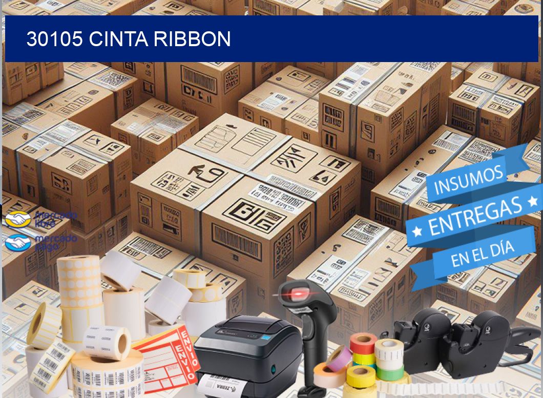 30105 CINTA RIBBON