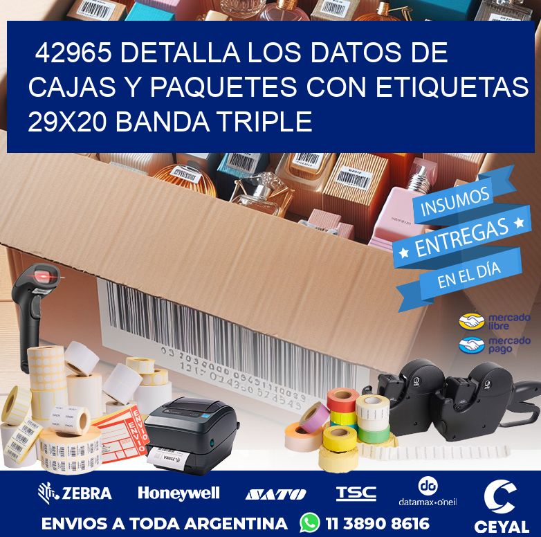42965 DETALLA LOS DATOS DE CAJAS Y PAQUETES CON ETIQUETAS 29X20 BANDA TRIPLE