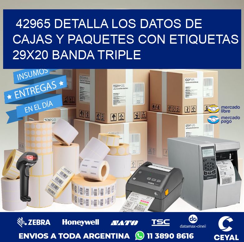 42965 DETALLA LOS DATOS DE CAJAS Y PAQUETES CON ETIQUETAS 29X20 BANDA TRIPLE
