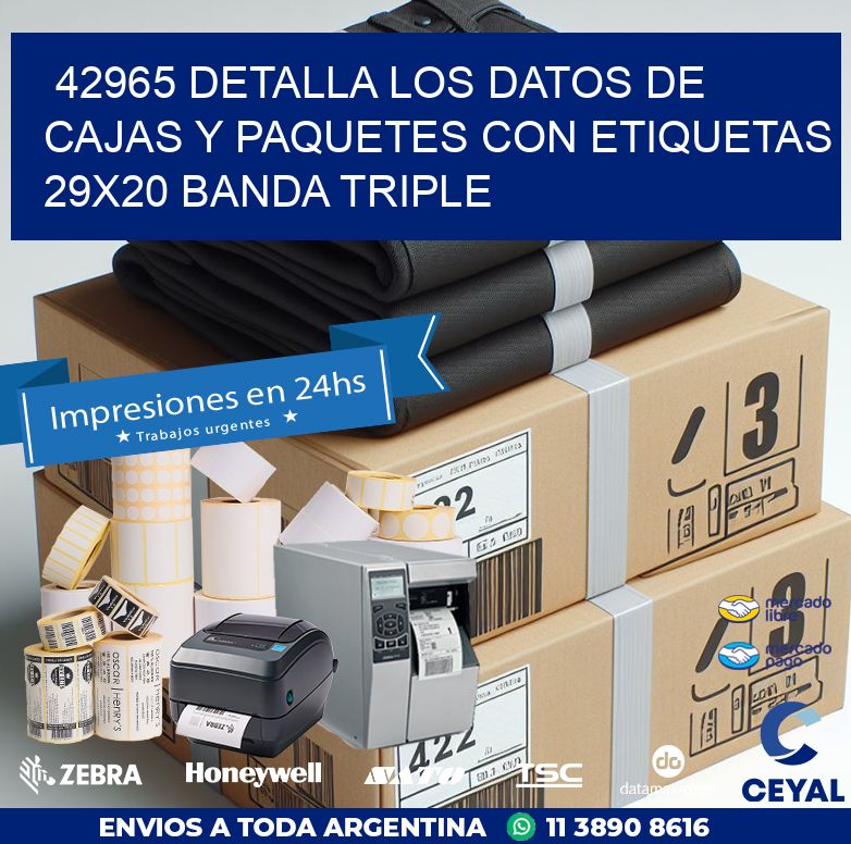 42965 DETALLA LOS DATOS DE CAJAS Y PAQUETES CON ETIQUETAS 29X20 BANDA TRIPLE