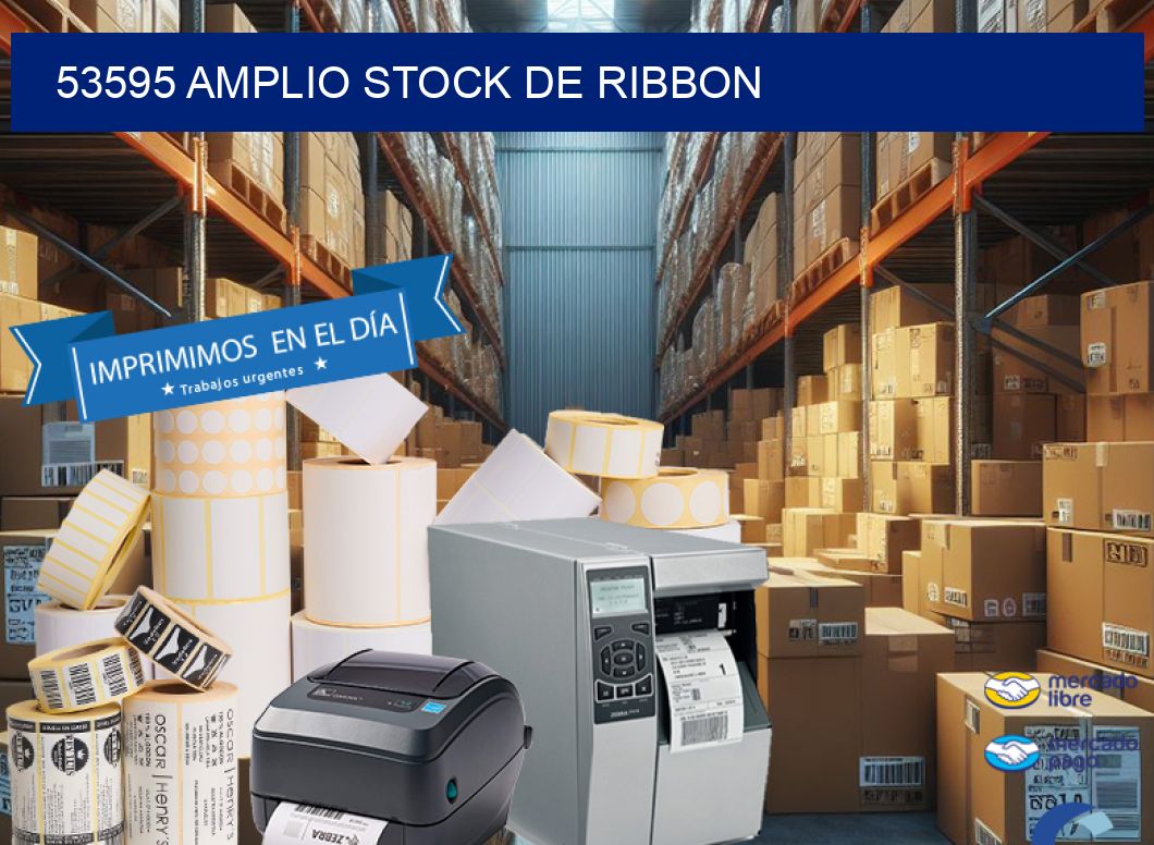53595 AMPLIO STOCK DE RIBBON
