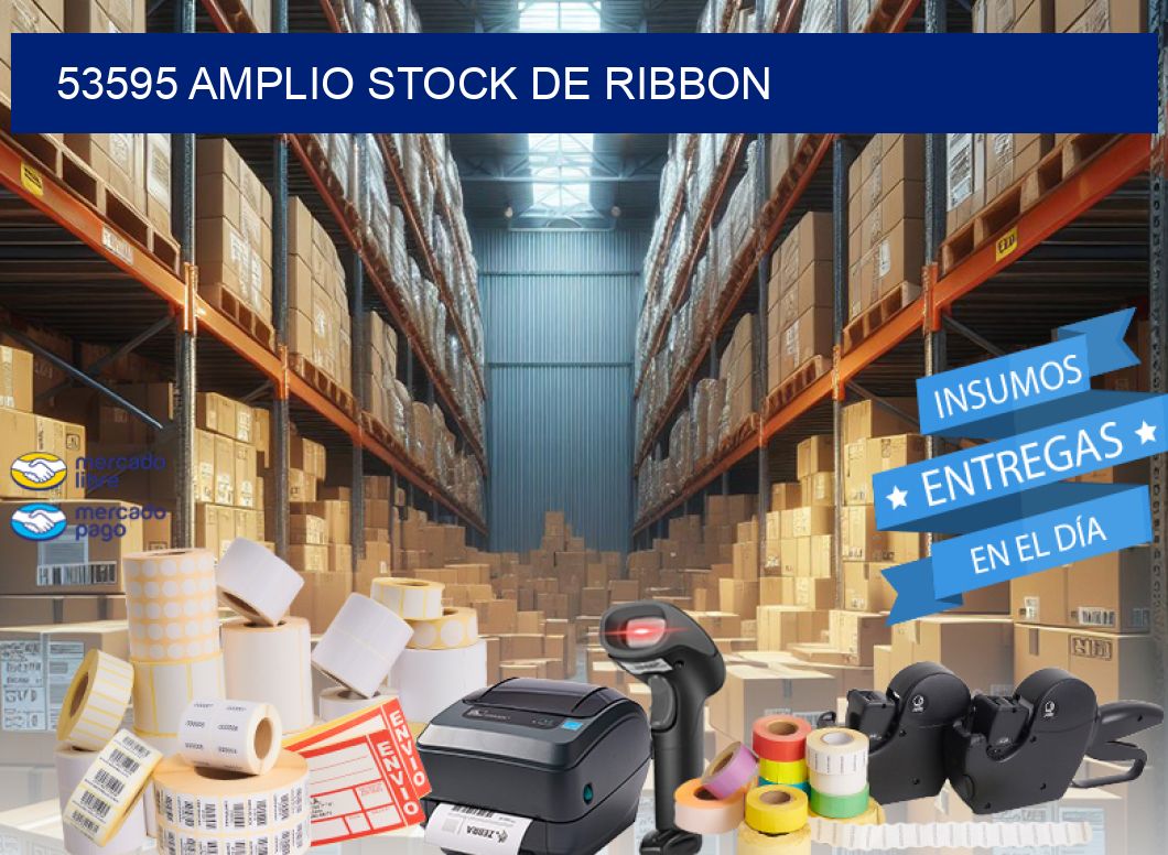53595 AMPLIO STOCK DE RIBBON