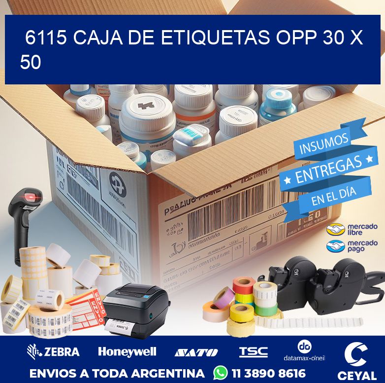 6115 CAJA DE ETIQUETAS OPP 30 X 50