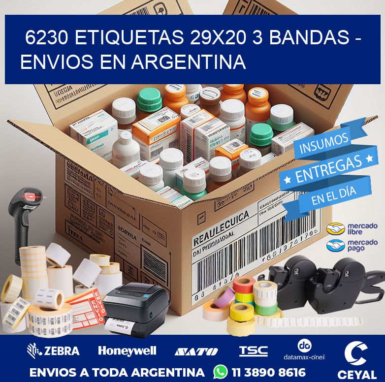 6230 ETIQUETAS 29X20 3 BANDAS - ENVIOS EN ARGENTINA